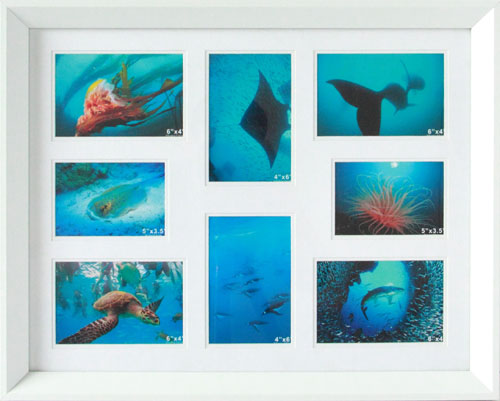 kxxh-fl241a 38x50 0.065-6pcs (1)